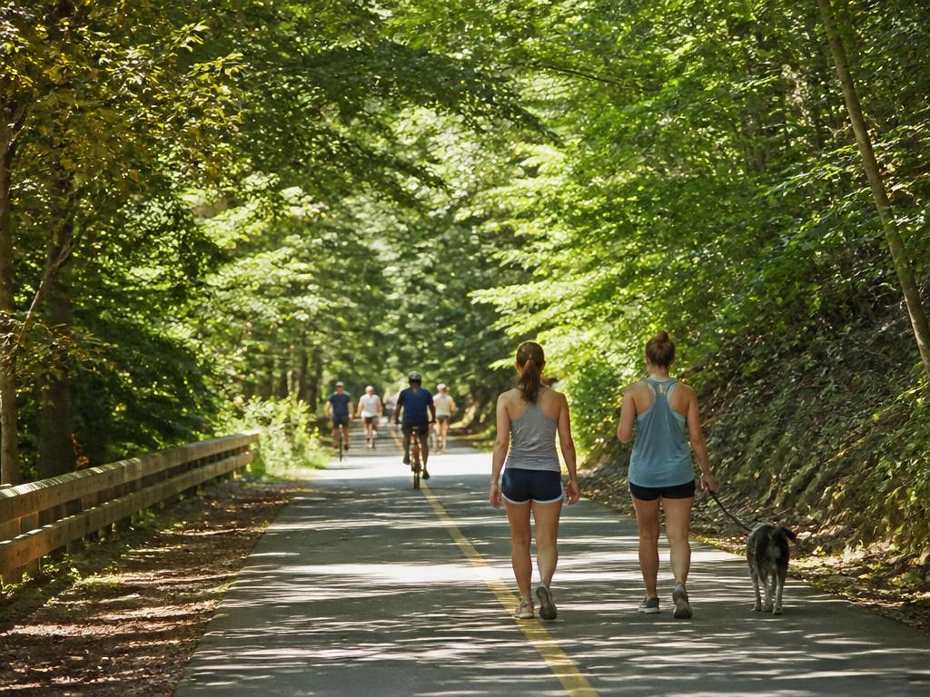 Shaded paved greenway trail through green woods with walkers and cyclists